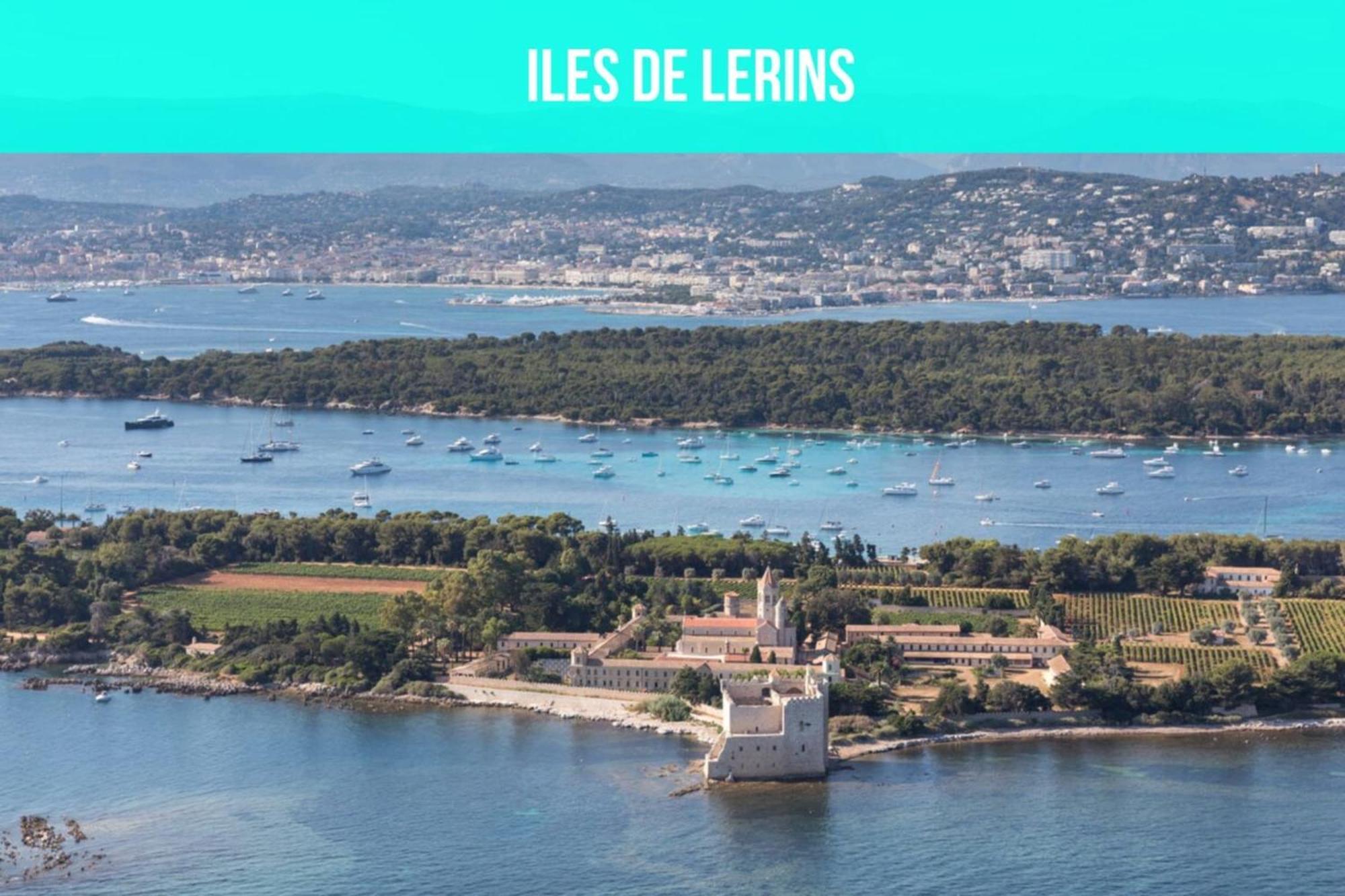 Les Sorbiers - Centre Ville - Spacieux & Climatisation Cannes Esterno foto